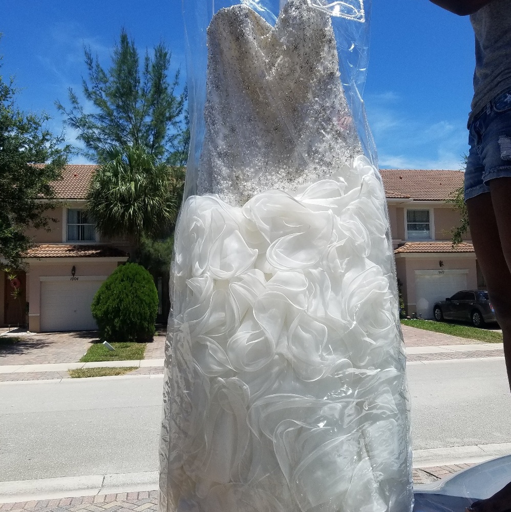 Wedding Dress.
